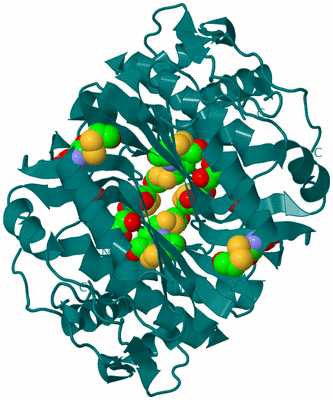 Image Biological Unit 1