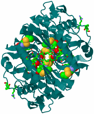 Image Biol. Unit 1 - sites