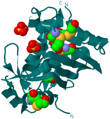 Image Biological Unit 2