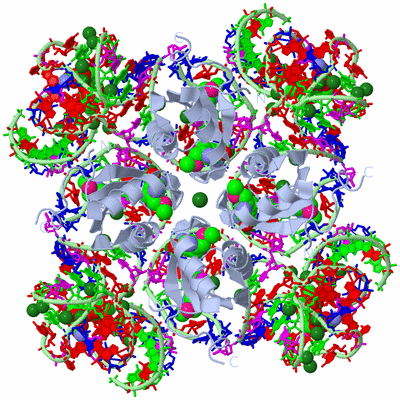 Image Biological Unit 1