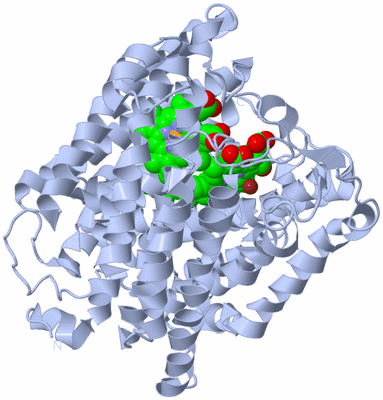 Image Biological Unit 2