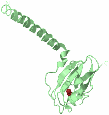 Image Biological Unit 3