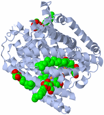 Image Biological Unit 2