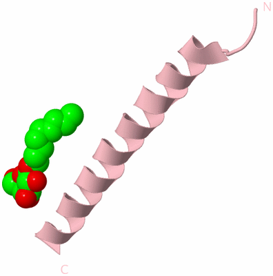 Image Biological Unit 4