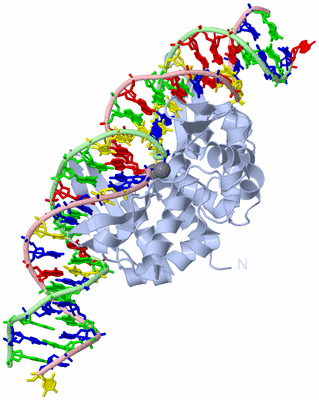 Image Biological Unit 1