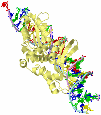 Image Biological Unit 2