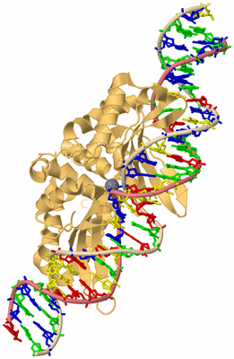 Image Biological Unit 3