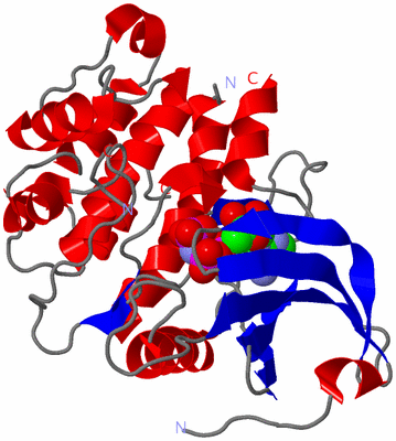 Image Asym./Biol. Unit