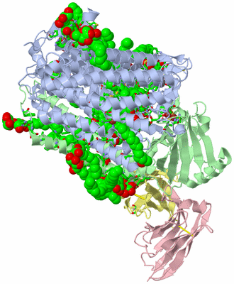 Image Asym./Biol. Unit - sites