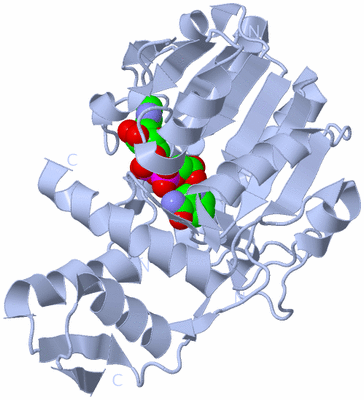 Image Biological Unit 2