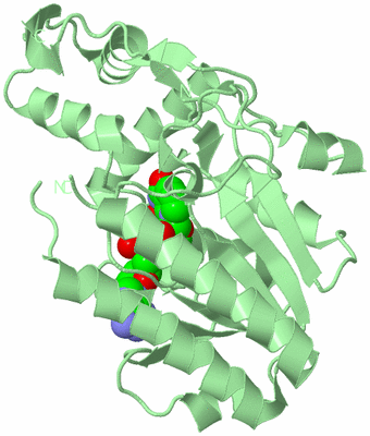 Image Biological Unit 3