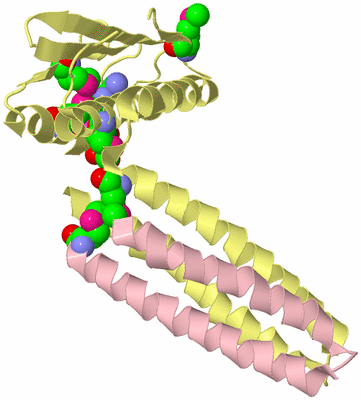 Image Biological Unit 2