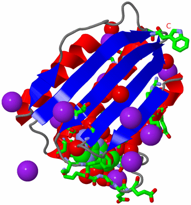 Image Asym./Biol. Unit - sites