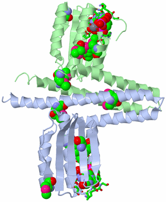 Image Asym./Biol. Unit - sites