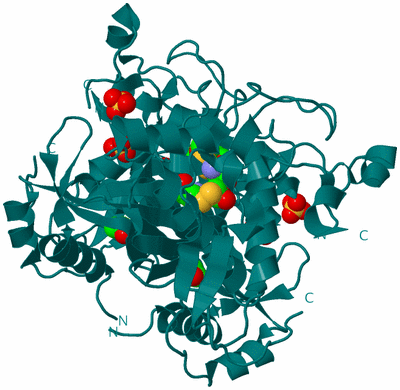 Image Biological Unit 1