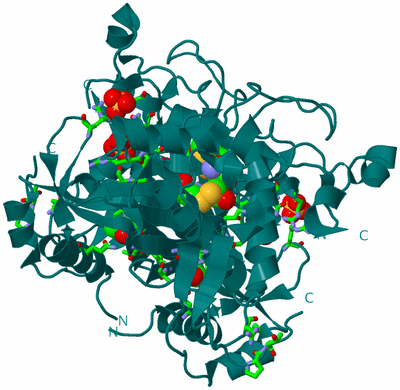 Image Biol. Unit 1 - sites