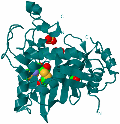 Image Biological Unit 2