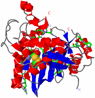 Image Asym. Unit - sites