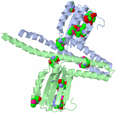 Image Asym./Biol. Unit