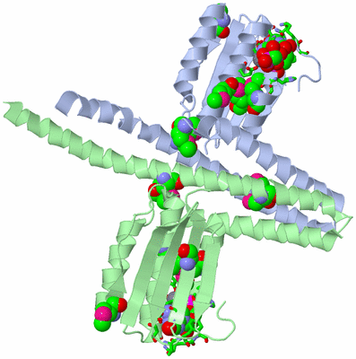 Image Asym./Biol. Unit - sites