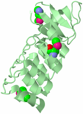 Image Biological Unit 2