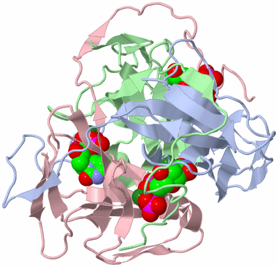 Image Biological Unit 1