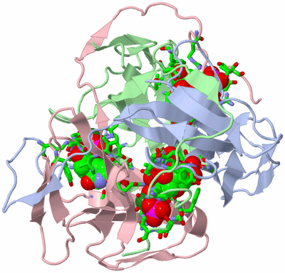 Image Biol. Unit 1 - sites