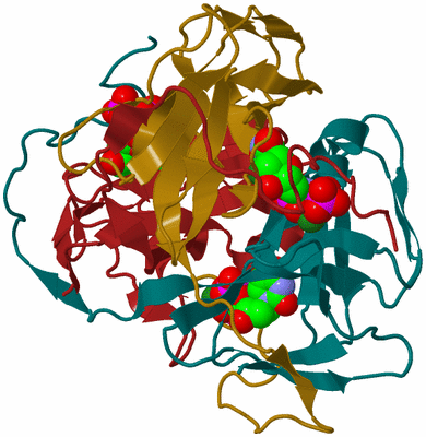 Image Biological Unit 2