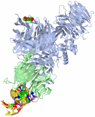 Image Asym./Biol. Unit