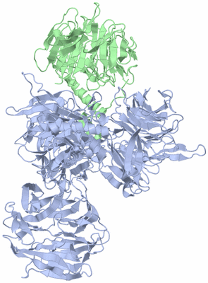 Image Biological Unit 1