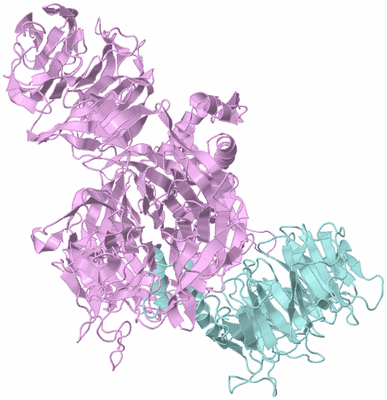 Image Biological Unit 3