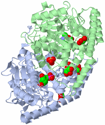 Image Asym./Biol. Unit