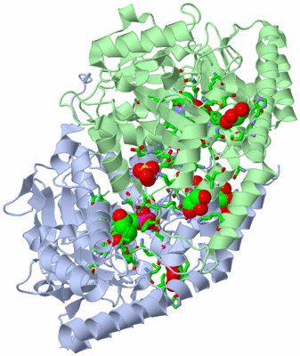 Image Asym./Biol. Unit - sites