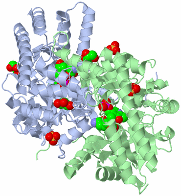 Image Asym./Biol. Unit