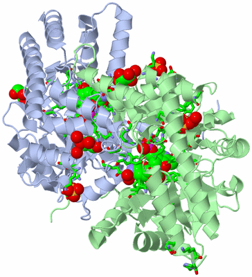 Image Asym./Biol. Unit - sites