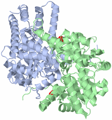 Image Asym./Biol. Unit