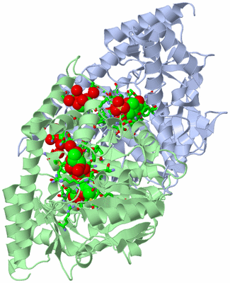 Image Asym./Biol. Unit - sites