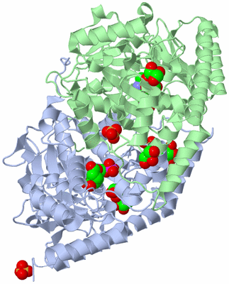 Image Asym./Biol. Unit