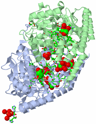 Image Asym./Biol. Unit - sites