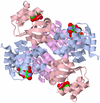 Image Biological Unit 1