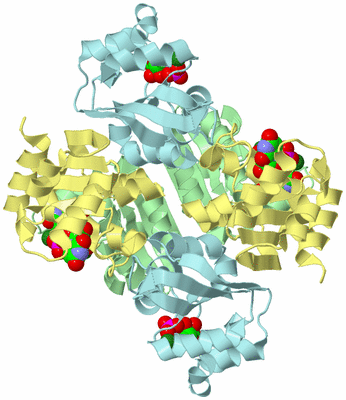 Image Biological Unit 2