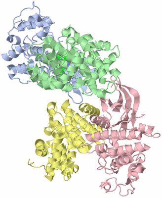 Image Asymmetric Unit