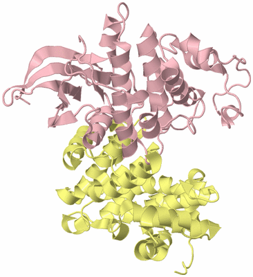 Image Biological Unit 2