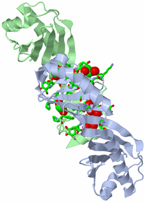 Image Asym./Biol. Unit - sites