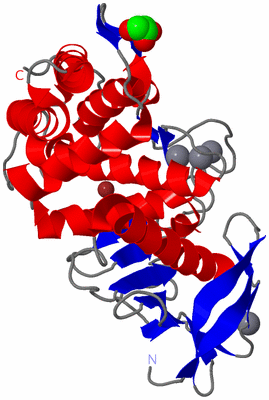 Image Asym./Biol. Unit