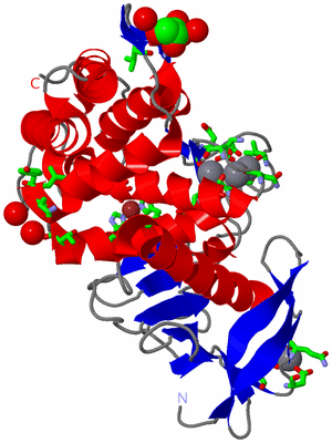 Image Asym./Biol. Unit - sites