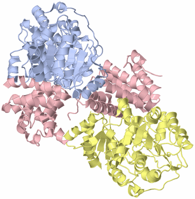 Image Asym./Biol. Unit