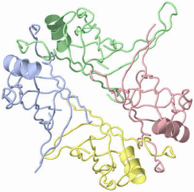 Image Biological Unit 1