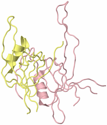 Image Biological Unit 3