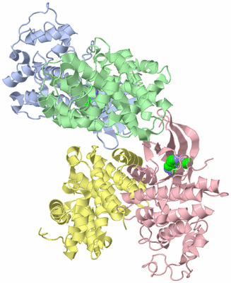 Image Asymmetric Unit